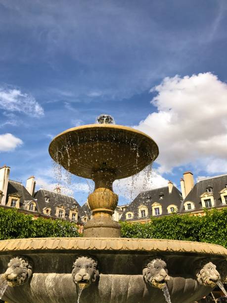istock Paris cityscape and fountain 699558324