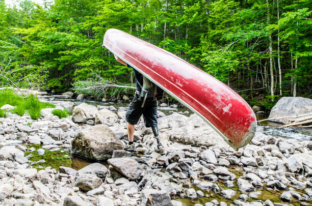 Man, seen from side, with prosthetic leg carrying his canoe and standing by the river  during a summer day