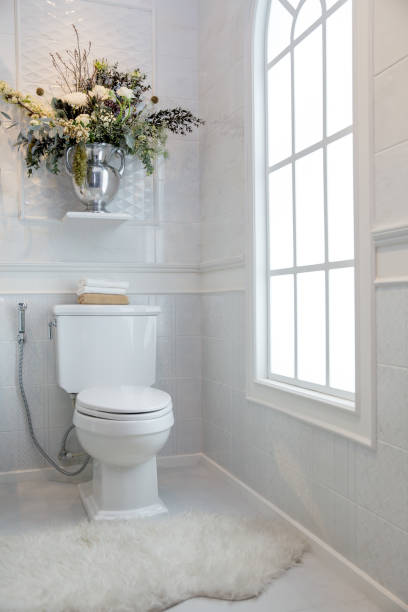 istock Interior new house, view beautiful bathroom 699603602