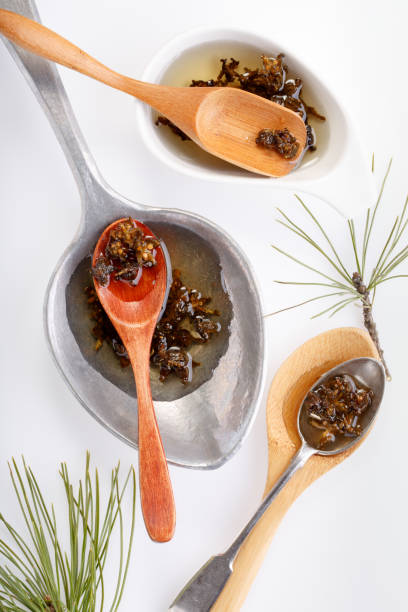istock Jam from pine buds. Coniferous syrup (medicinal / herbal medicine). Cedar jam. Top view. 699645296