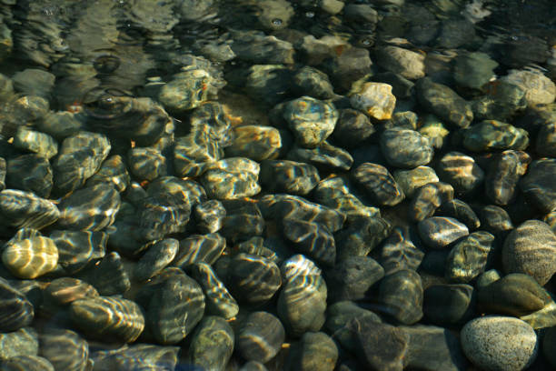 pebble stone texture for background
