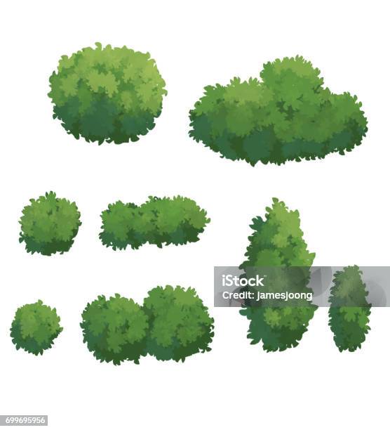 Illustration Of Bush Stock Illustration - Download Image Now - Copse, Grove, Hedge