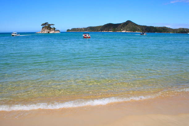 paisaje translucido playa de idílico abel tasman bay, tasmania y golden bay, panorama del sur nueva zelanda - golden bay fotografías e imágenes de stock