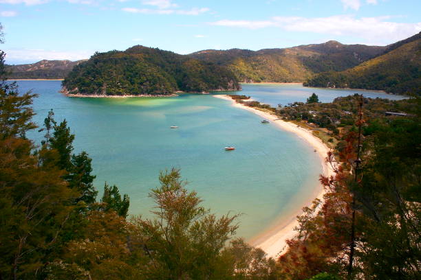 Translucent beach of Idyllic Abel Tasman bay landscape, Tasman and Golden bay from above, South New Zealand panorama Translucent beach of Idyllic Abel Tasman bay landscape, Tasman and Golden bay from above, South New Zealand panorama abel tasman national park stock pictures, royalty-free photos & images