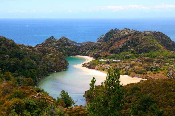 aerial view of idyllic abel tasman bay landscape, tasman and golden bay from above, south new zealand panorama - abel tasman national park imagens e fotografias de stock