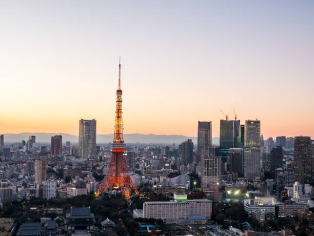 istock Observation room in Japan 699743672