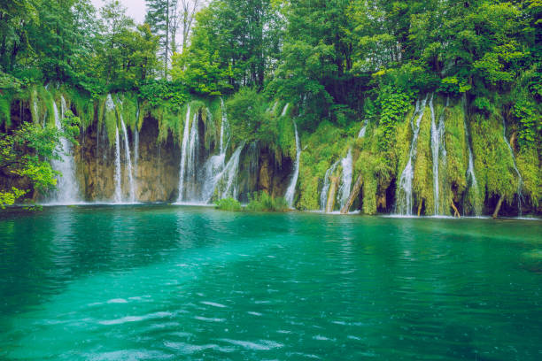 istock Plitvice lake at Crotia. 2016 699743674