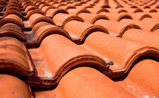 istock Tiles on the house 699758386
