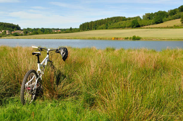 istock mountain bike on the grass 699758638