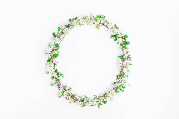 istock Frame made of apple tree flowers. Flat lay, top view 699764738