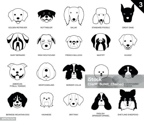 Dog Faces Stroke Monochrome Icon Cartoon 3 Stock Illustration - Download Image Now - Illustration, Animal Head, Newfoundland Dog