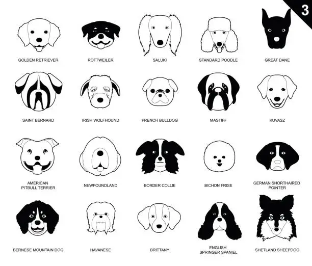 Vector illustration of Dog Faces Stroke Monochrome Icon Cartoon 3