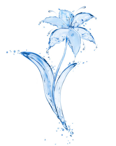 istock Blue flower made of fresh water splashes isolated on white background 699786868