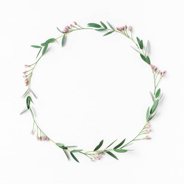Wreath, pink flowers, eucalyptus leaves. Flat lay, top view