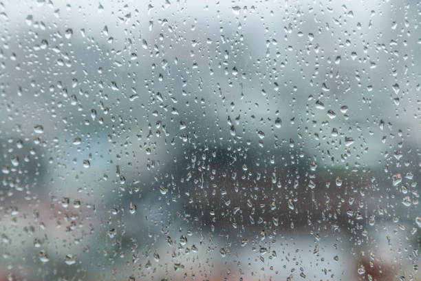 istock Rainy season is blue day 699803162