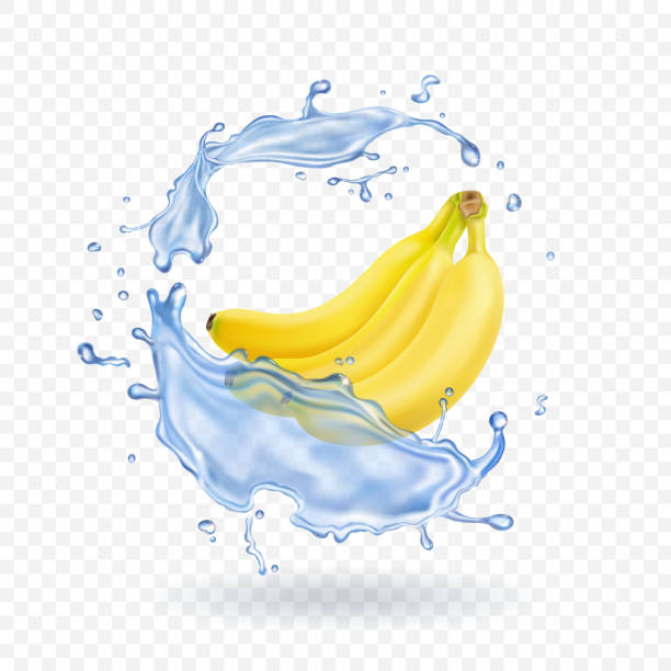istock Realistic illustration of bananas isolated with water splash 699804688