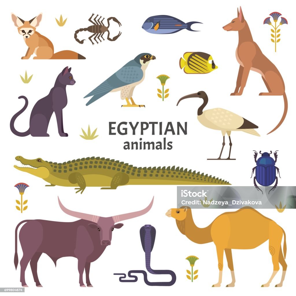 Egyptian animals. Vector illustration of African animals, such as camel, crocodile, buffalo, ibis, cat, Egyptian dog, and scorpio isolated on white. Egypt stock vector