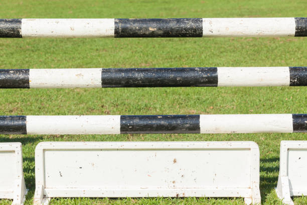 istock Equestrian Show Jumping Poles 699807988