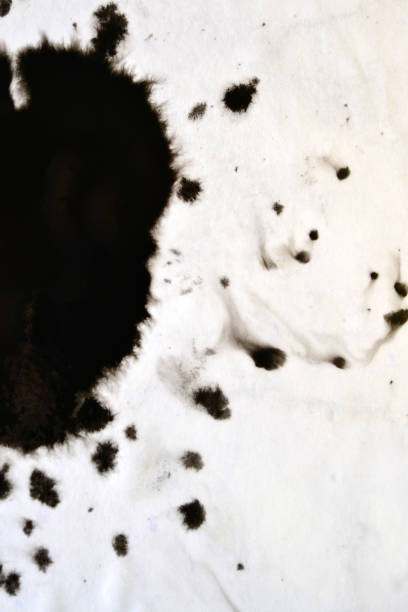 istock Black Ink Conveyed Over White Close-up Paper. 699808274