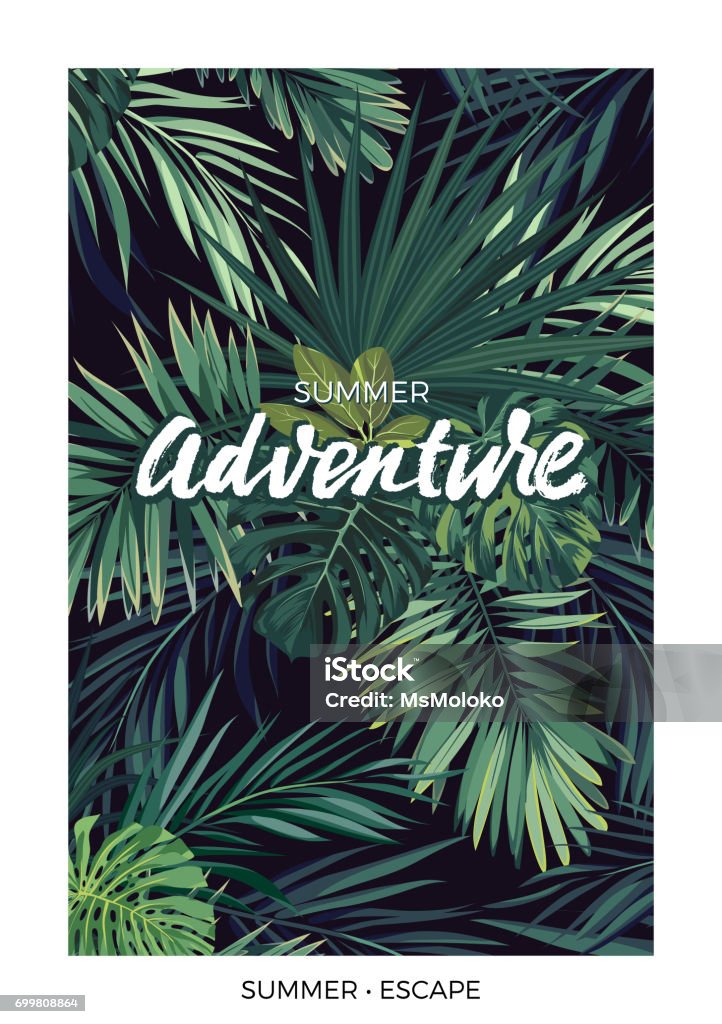 Diseño tropical vector oscuro con hojas de palmera de la selva verde y Letras - arte vectorial de Web Banner libre de derechos