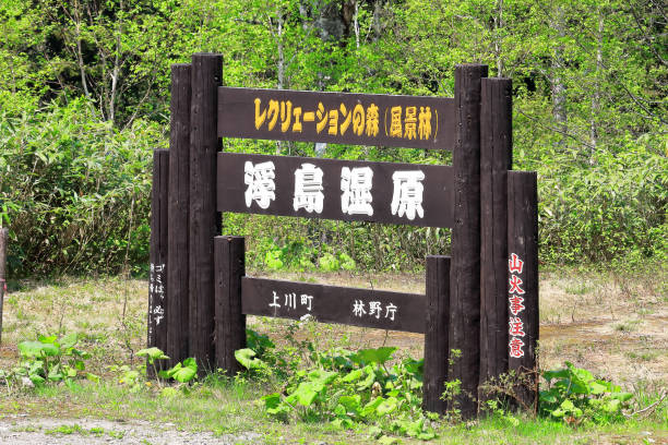 istock Marshland of Ukishima in Hokkaido 699809558