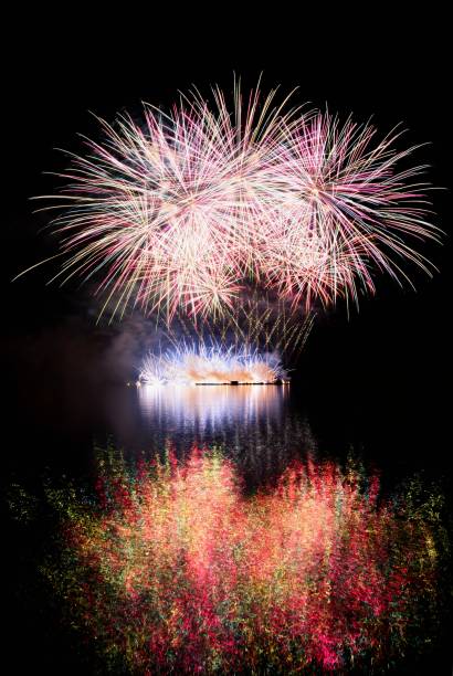 istock Firework. Beautiful colorful fireworks on the water surface with a clean black background. Fun festival and contest of Firefighters  Brno Dam - Czech Republic. 699817398