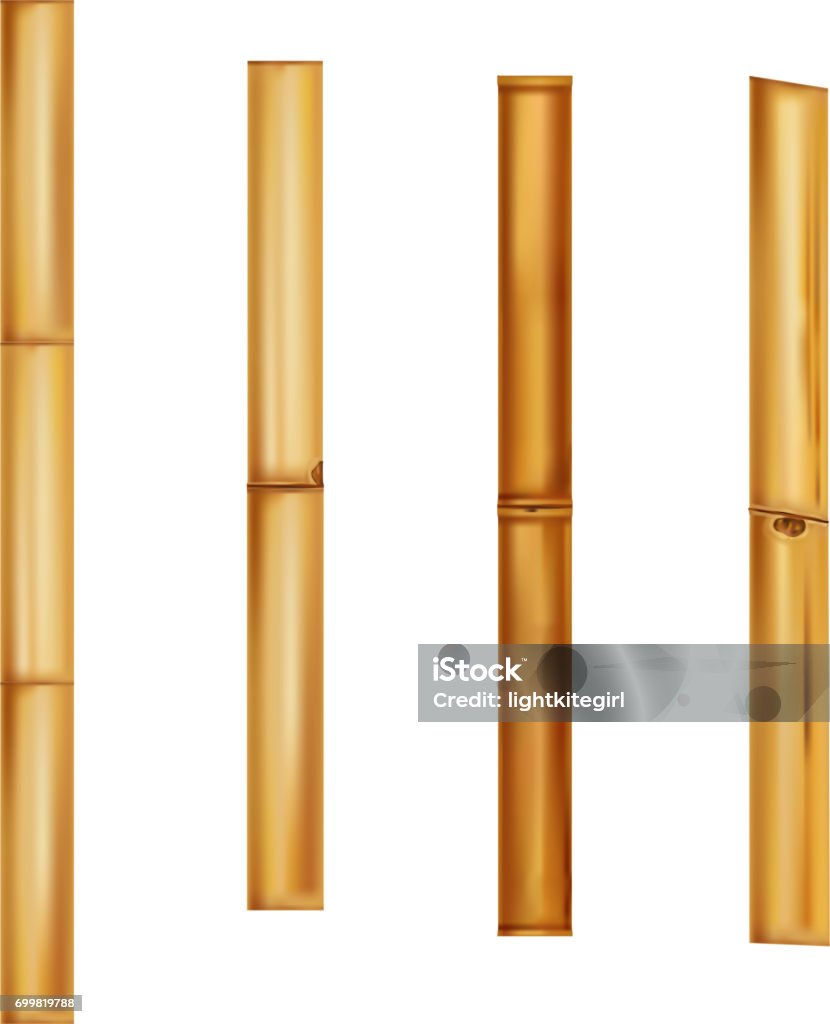 Bamboo stems Realistic brown sticks. Vector Illustration. Bamboo stems Realistic brown sticks. Vector Illustration Bamboo - Plant stock vector