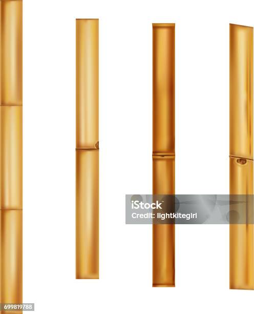 Bamboo Stems Realistic Brown Sticks Vector Illustration Stock Illustration - Download Image Now