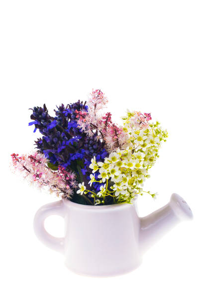 istock Creative vase with flowers Isolated on white background 699823356