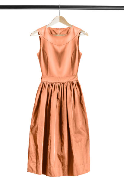 istock Dress on clothes rack 699825960