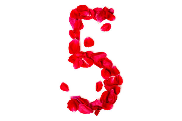 istock Number 5 made from red petals rose 699826380