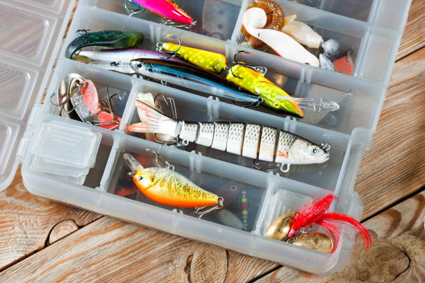 istock Fishing accessories on a wooden background. 699826738