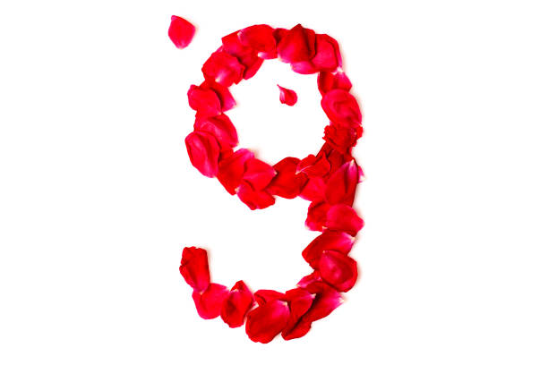 istock Number 9 made from red petals rose 699827188
