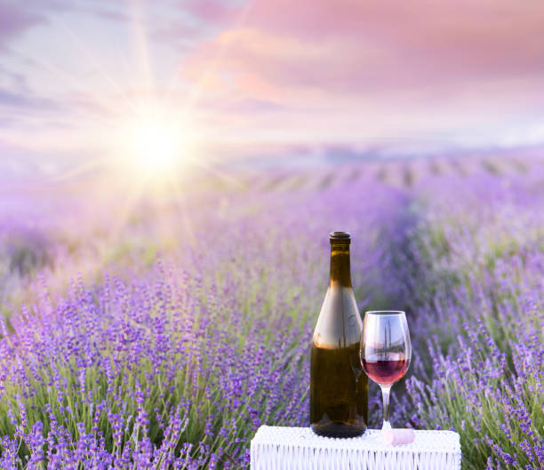 istock Bottle of wine against lavender 699827674