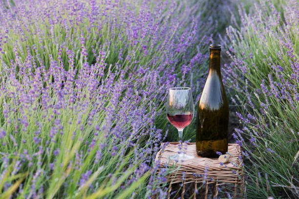 istock Bottle of wine against lavender 699827864