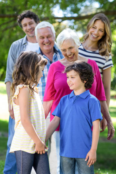 istock Smiling family standing in a row 699827966