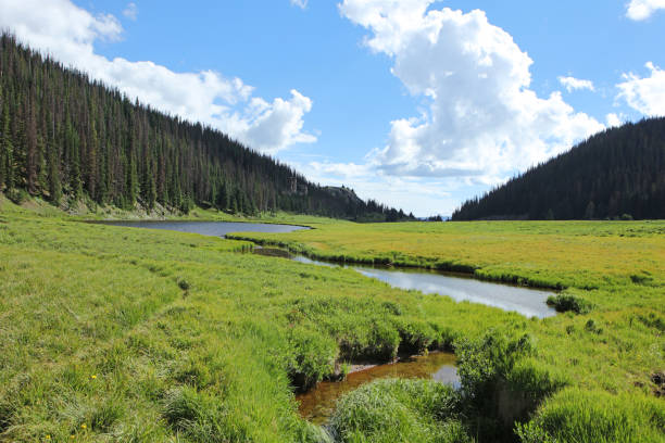 istock Milner Pass on Trail Ridge Road Rocky Mountains Colorado 699828058
