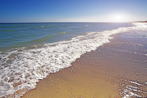 istock beach and beautiful tropical sea 699830342