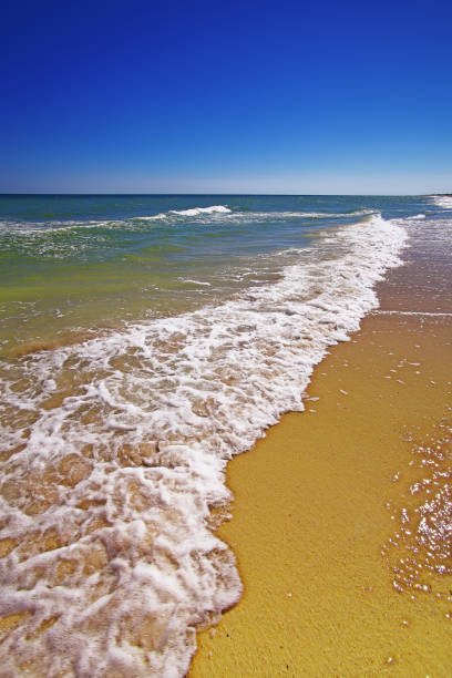 istock beach and beautiful tropical sea 699830762