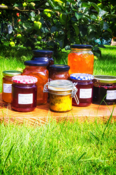 istock Homemade jams, preserves and pickles 699833218
