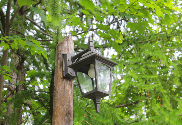 istock street lamp in the forest 699838376