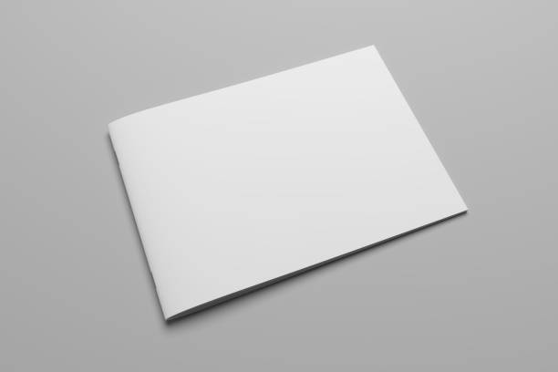 istock Blank 3D rendering brochure magazine on gray with clipping path No. 8 699847920