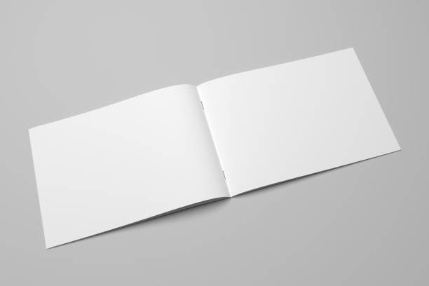istock Blank 3D rendering brochure magazine on gray with clipping path No. 9 699847996