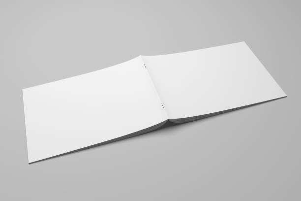 istock Blank 3D rendering brochure magazine on gray with clipping path No. 11 699848102