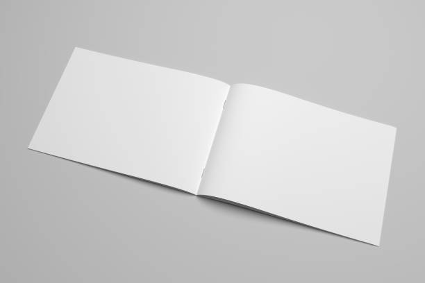 istock Blank 3D rendering brochure magazine on gray with clipping path No. 12 699848216