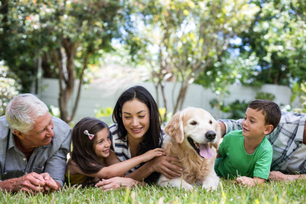 istock Happy family in a park 699849044