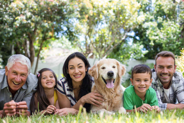 istock Happy family in a park 699849122
