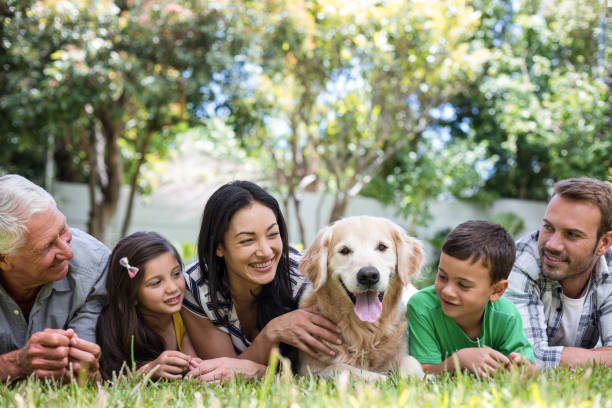 istock Happy family in a park 699849168
