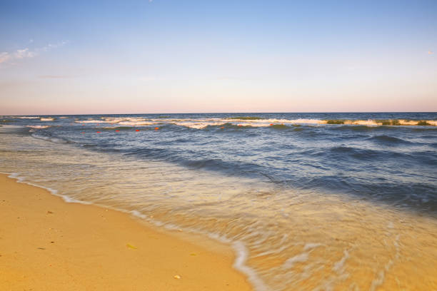istock beach and beautiful tropical sea 699857144