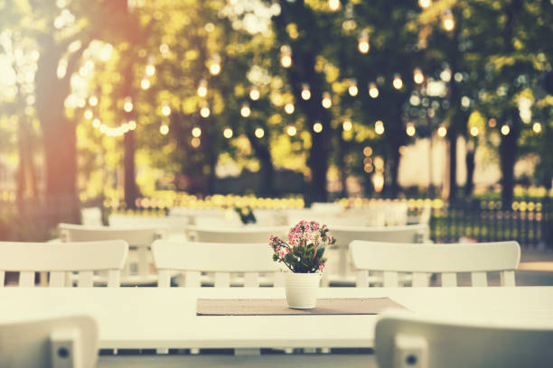 romantic outdoor restaurant in park with string lights at sunset